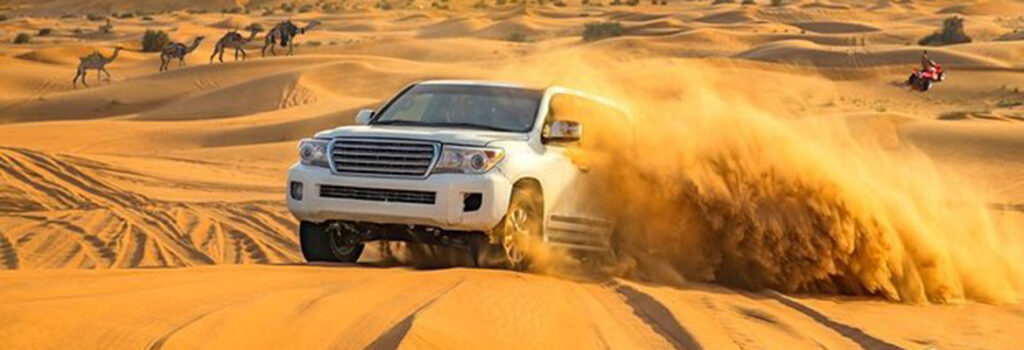 Morning Desert Safari Dubai Adventures – Conquer the Dunes: Morning Desert